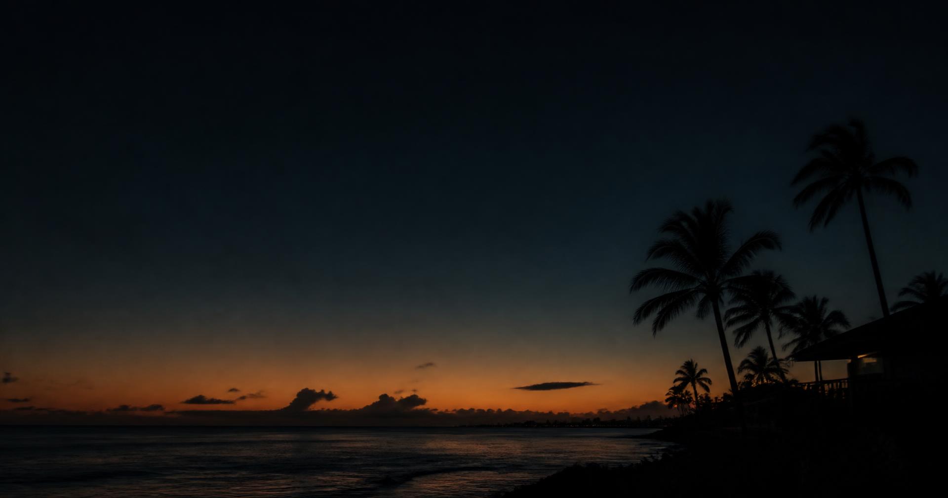 South Florida coastline at dusk with silhouetted palms above a calm ocean